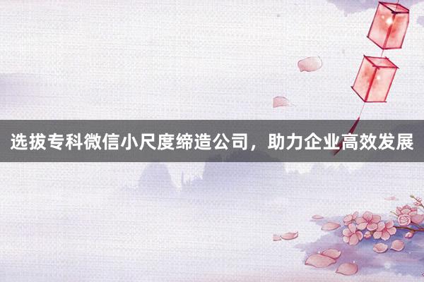 选拔专科微信小尺度缔造公司，助力企业高效发展