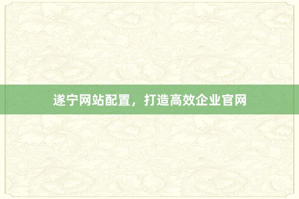 遂宁网站配置，打造高效企业官网