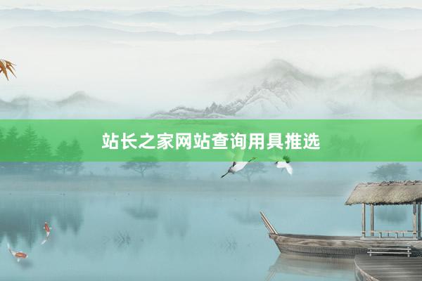 站长之家网站查询用具推选