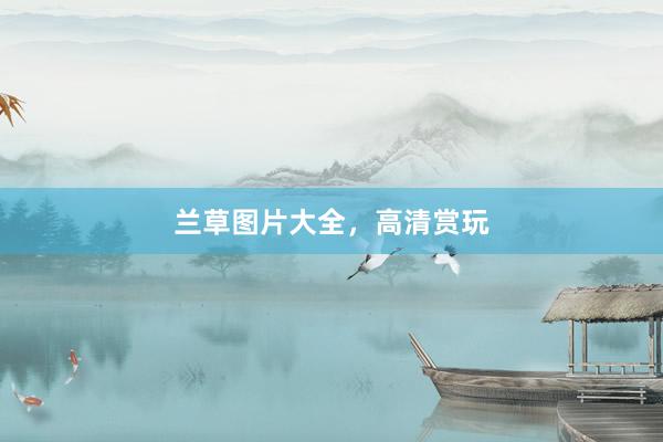 兰草图片大全，高清赏玩