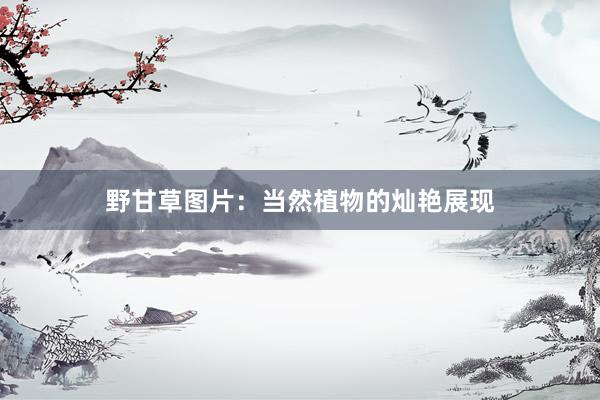 野甘草图片：当然植物的灿艳展现